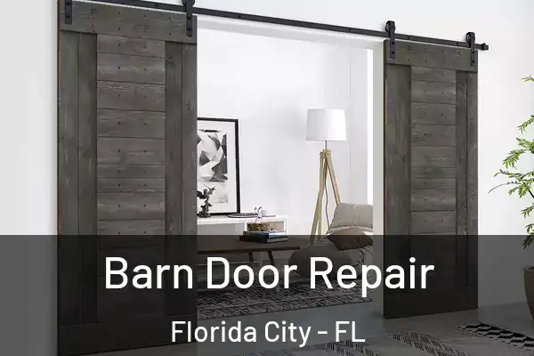 Barn Door Repair Florida City - FL
