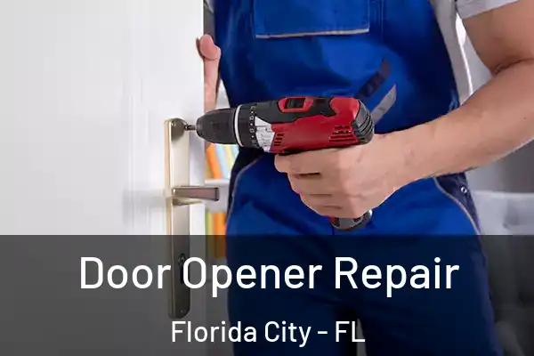 Door Opener Repair Florida City - FL