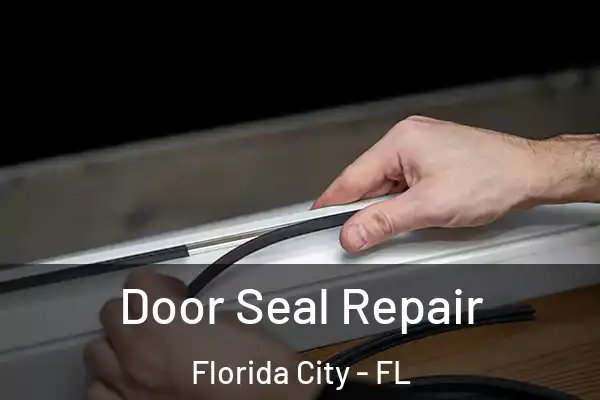 Door Seal Repair Florida City - FL