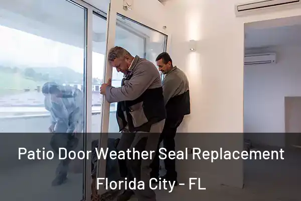 Patio Door Weather Seal Replacement Florida City - FL