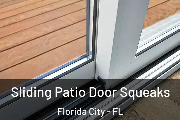Sliding Patio Door Squeaks Florida City - FL
